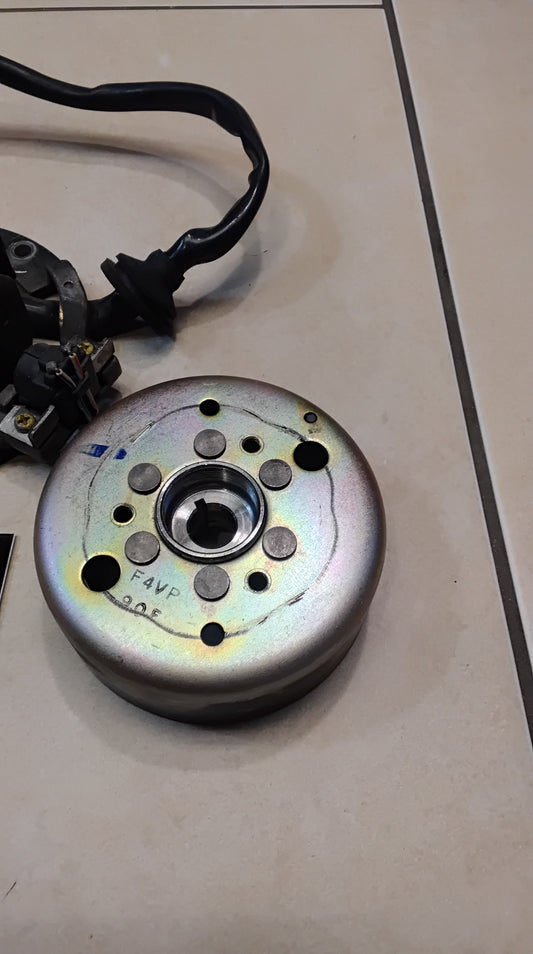 Lichtmaschine Polrad Yamaha Aerox 100 Yamaha Neos Ovetto