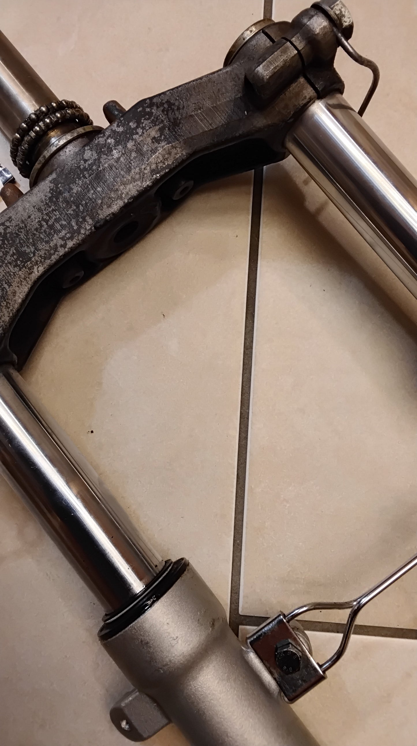 Benelli 491 Benelli K2 Gabelbrücke Gabelholme komplett top