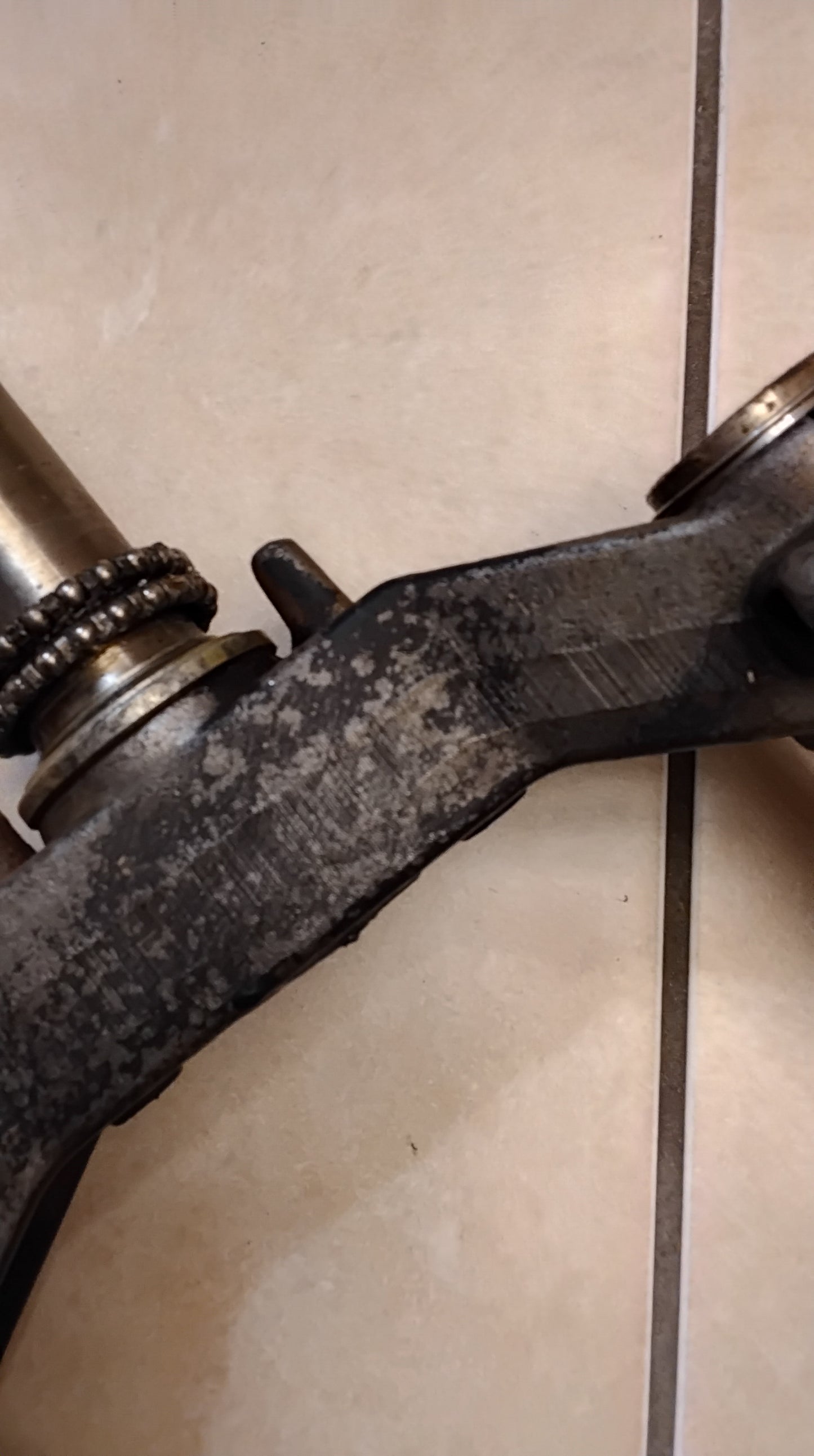 Benelli 491 Benelli K2 Gabelbrücke Gabelholme komplett top