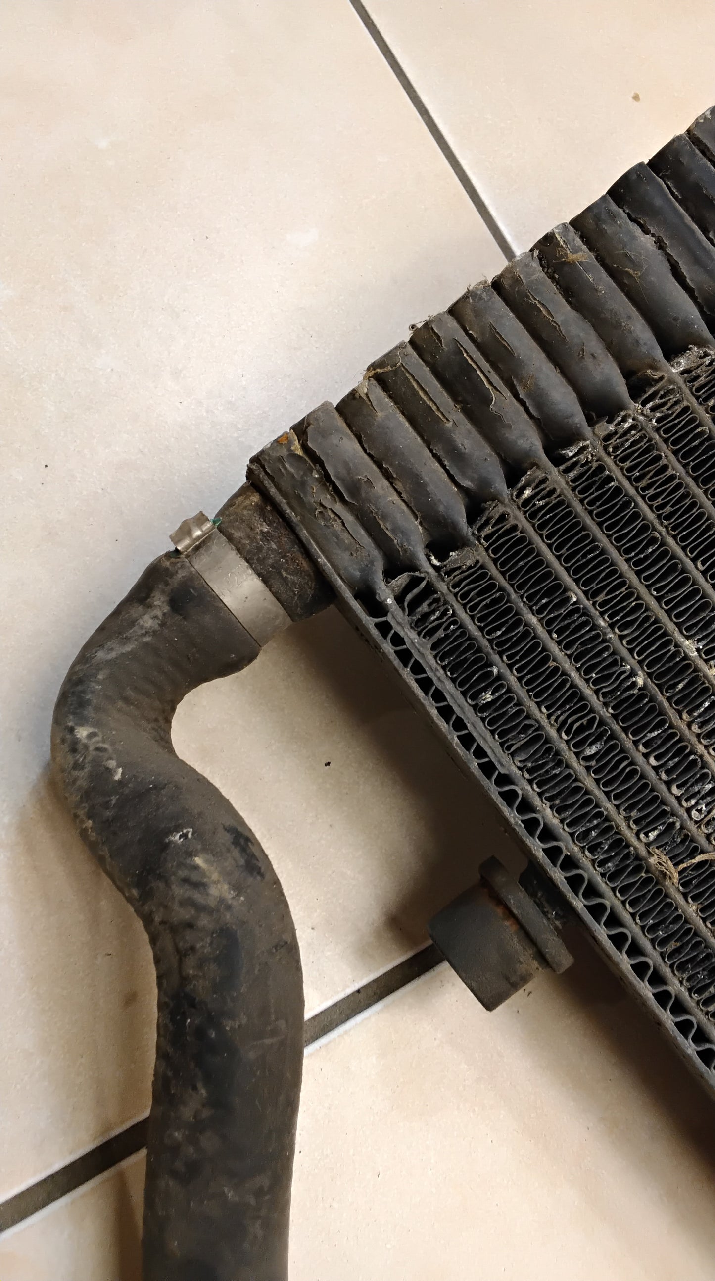 Benelli 491 Benelli K2 kühler komplett original top